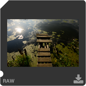 Камера Nikon Z 6 с объективом Nikkor Z 24-70mm f/4 S. Примеры RAW файлов