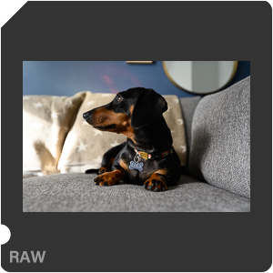 Камера Nikon D с объективом Nikkor Z 14-24mm f/2.8 S. Примеры RAW файлов