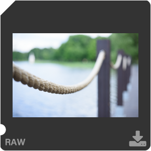 Камера Nikon D810 с объективом AF-S Micro Nikkor 60 mm f/2.8G ED. Примеры RAW файлов