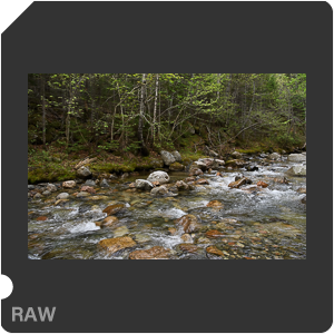 Камера Nikon D5 с объективом AF-S Nikkor 24-70mm f/2.8E ED VR. Примеры RAW файлов