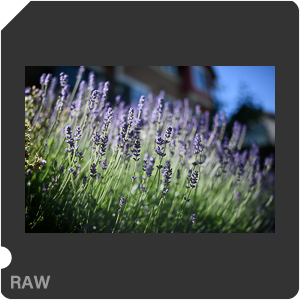 Камера Nikon D810 с объективом AF-S Nikkor 28 mm f/1.4E ED. Примеры RAW файлов