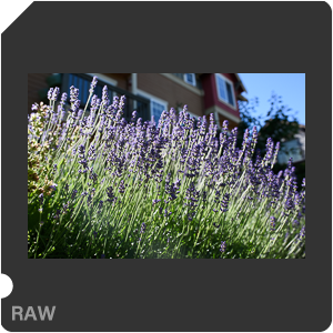 Камера Nikon D810 с объективом AF-S Nikkor 28 mm f/1.4E ED. Примеры RAW файлов