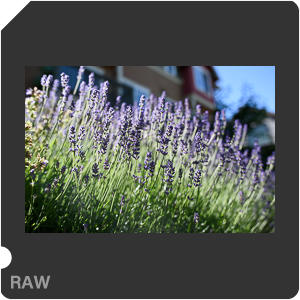 Камера Nikon D810 с объективом AF-S Nikkor 28 mm f/1.4E ED. Примеры RAW файлов