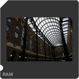 Камера Nikon D3400 с объективом AF-P DX Nikkor 18-55mm f/3.5-5.6G. Примеры RAW файлов