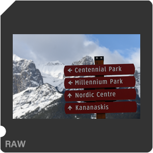 Камера Nikon D с объективом AF-S VR Zoom-Nikkor 70-200mm f/2.8G IF-ED. Примеры RAW файлов