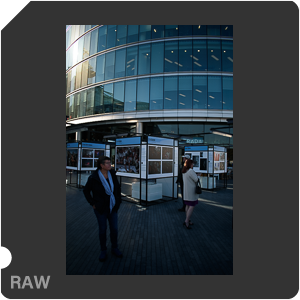 Камера Nikon D3500 с объективом AF-P DX Nikkor 18-55mm F/3.5-5.6G VR. Примеры RAW файлов