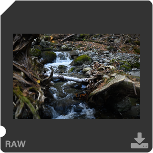 Камера Nikon Z 7II с объективом Nikkor Z 50 mm f/1.2 S. Примеры RAW файлов