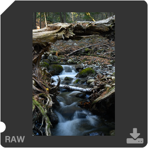 Камера Nikon Z 7II с объективом Nikkor Z 50 mm f/1.2 S. Примеры RAW файлов