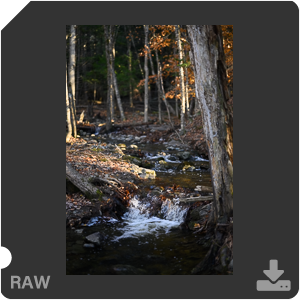 Камера Nikon Z 7II с объективом Nikkor Z 50 mm f/1.2 S. Примеры RAW файлов