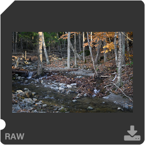 Камера Nikon Z 7II с объективом Nikkor Z 50 mm f/1.2 S. Примеры RAW файлов