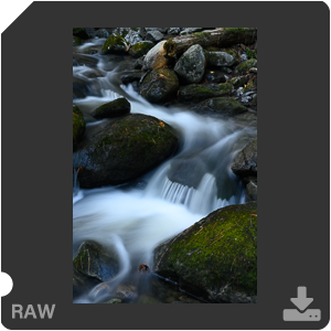 Камера Nikon Z 7II с объективом Nikkor Z 50 mm f/1.2 S. Примеры RAW файлов