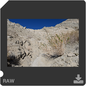 Nikon D500 Camera with AF-S Nikkor 20mm f/1.8G ED. Examples of RAW files