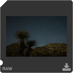 Nikon D500 Camera with AF-S Nikkor 20mm f/1.8G ED. Examples of RAW files