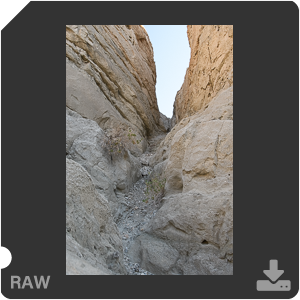 Nikon D500 Camera with AF-S Nikkor 20mm f/1.8G ED. Examples of RAW files