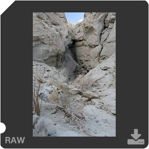 Nikon D500 Camera with AF-S Nikkor 20mm f/1.8G ED. Examples of RAW files