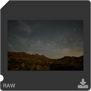 Nikon D500 Camera with AF-S Nikkor 20mm f/1.8G ED. Examples of RAW files