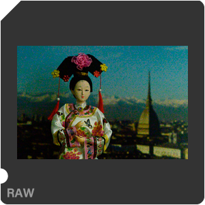 Камера Nikon Z 6 с объективом AF-S Nikkor 85 mm f/1.8G. Примеры RAW файлов