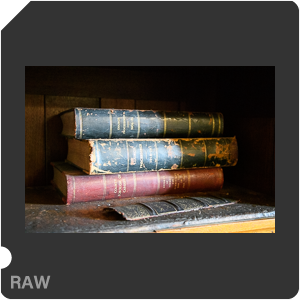 Камера Nikon D5 с объективом AF-S Zoom-Nikkor 24-85mm f/3.5-4.5G IF-ED. Примеры RAW файлов