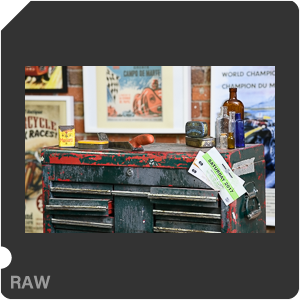 Камера Nikon D с объективом AF-S Nikkor 105 mm f/1.4E ED. Примеры RAW файлов