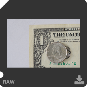 Nikon D500 с объективом AF-S Nikkor 180-400mm f/4.0E TC1.4 FL ED VR. Примеры RAW файлов