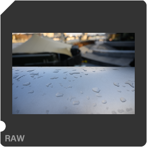 Камера Nikon Z 6 с объективом Nikkor Z 24-70mm f/4 S. Примеры RAW файлов