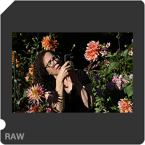 Камера Nikon Z 6III с объективом Nikkor Z 24-70mm f/2.8 S. Примеры RAW файлов