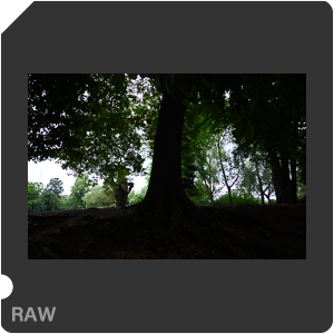 RAW sample