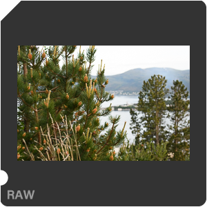 Nikon D7500 + AF-S Nikkor 28mm f/1.4E ED. Examples of RAW files