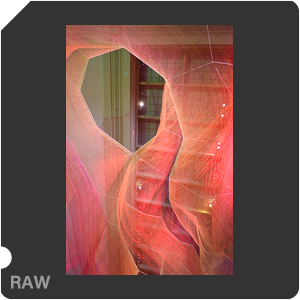 Nikon D5600 + AF-S Nikkor 20mm f/1.8G ED. Примеры RAW файлов