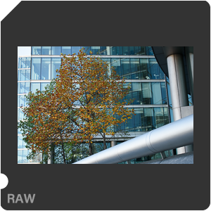 Камера Nikon D3500 с объективом AF-P DX Nikkor 18-55mm F/3.5-5.6G VR. Примеры RAW файлов