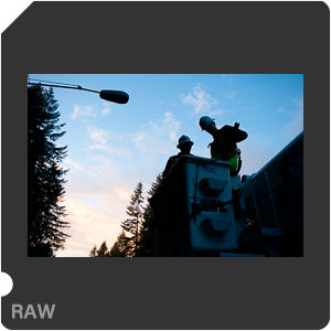 RAW sample