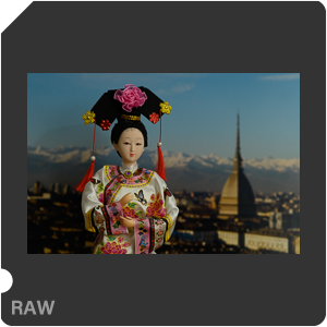 Камера Nikon Z 6 с объективом AF-S Nikkor 85 mm f/1.8G. Примеры RAW файлов