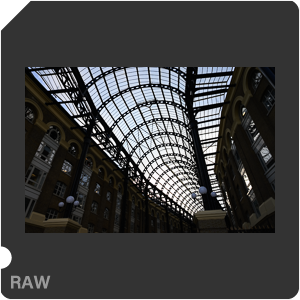 Камера Nikon Z 6 с объективом Nikkor Z 24-70mm f/4 S. Примеры RAW файлов