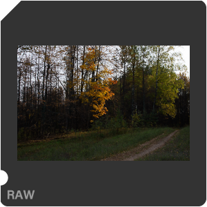 Камера Nikon D5600 с объективом AF Zoom-Nikkor 28-105mm f/3.5-4.5D IF. Примеры RAW файлов