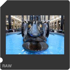 Камера Nikon D3400 с объективом AF-P DX Nikkor 18-55mm f/3.5-5.6G. Примеры RAW файлов