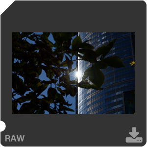 RAW sample