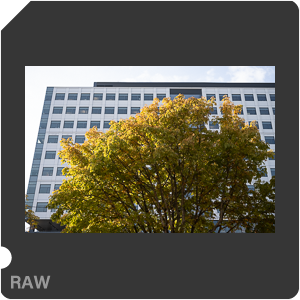RAW sample