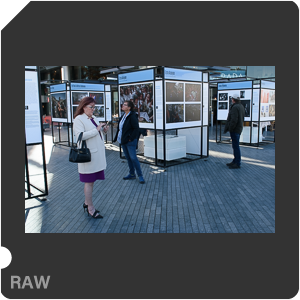 Камера Nikon D3500 с объективом AF-P DX Nikkor 18-55mm F/3.5-5.6G VR. Примеры RAW файлов