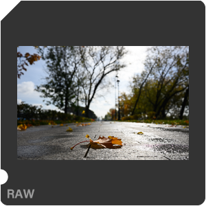 Камера Nikon Z 6 с объективом Nikkor Z 28 mm f/2.8 SE. Примеры RAW файлов