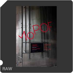 Nikon Z 7 + Viltrox AF 40mm f2.5 Z. Примеры RAW файлов