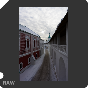 Камера Nikon Z 7 с объективом Nikkor Z 24-120mm f/4 S. Примеры RAW файлов