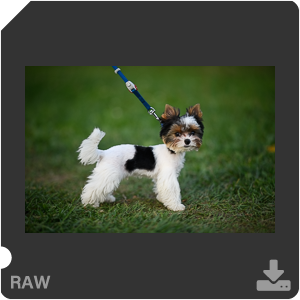 Камера Nikon D с объективом AF-S Nikkor 105 mm f/1.4E ED. Примеры RAW файлов