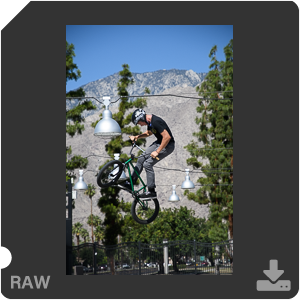 Камера Nikon D500 с объективом AF-S DX Nikkor 16-80mm f/2.8-4E ED VR. Примеры RAW файлов