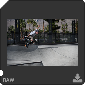 Камера Nikon D500 с объективом AF-S DX Nikkor 16-80mm f/2.8-4E ED VR. Примеры RAW файлов