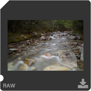 Камера Nikon D500 с объективом AF-S DX Nikkor 16-80mm f/2.8-4E ED VR. Примеры RAW файлов