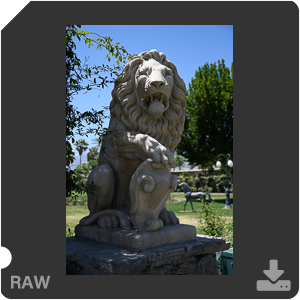 Камера Nikon D500 с объективом AF-S DX Nikkor 16-80mm f/2.8-4E ED VR. Примеры RAW файлов