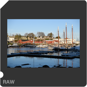 Камера Nikon D5 с объективом AF-S Nikkor 24-70mm f/2.8E ED VR. Примеры RAW файлов