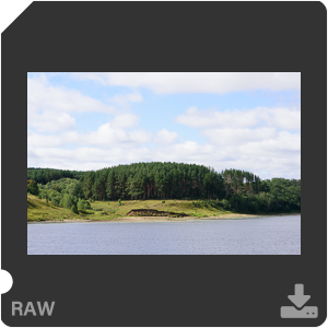 Камера Nikon D810 с объективом AF-S Nikkor 85 mm f/1.4G. Примеры RAW файлов