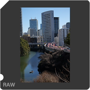 RAW sample