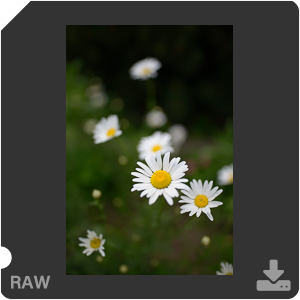 Камера Nikon D с объективом AF-S Nikkor 28 mm f/1.4E ED. Примеры RAW файлов